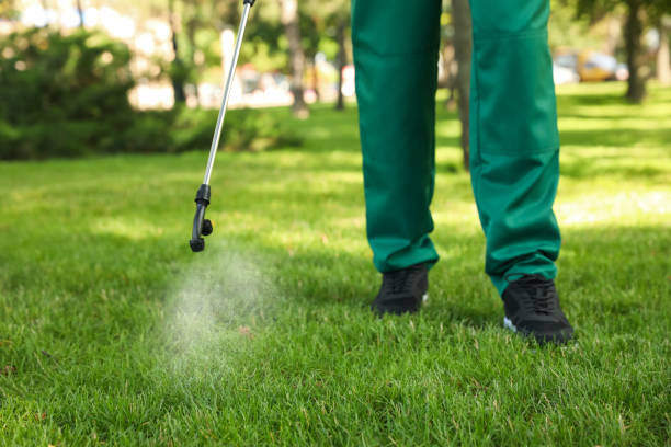 Best Lawn Pest Control  in Matheny, CA